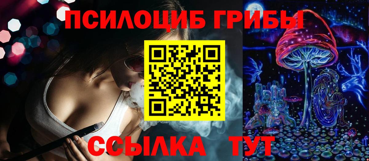 Галлюциногенные грибы Psilocybine cubensis Рязань